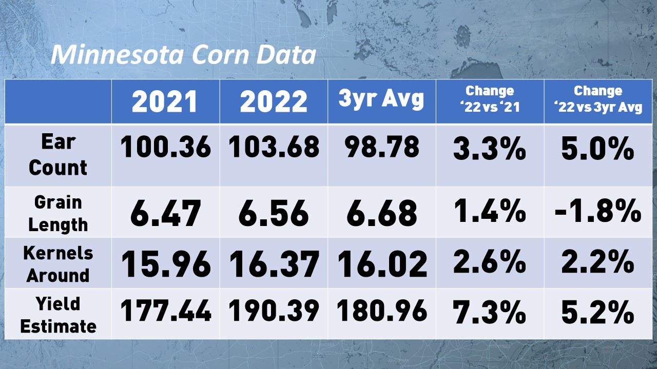 Minnesota Corn Summary