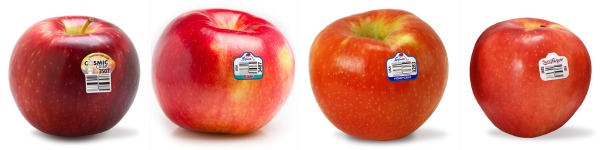 Stemilt apple types