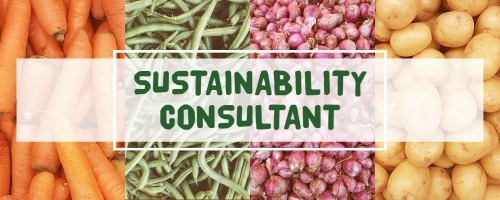 sustainability consultant