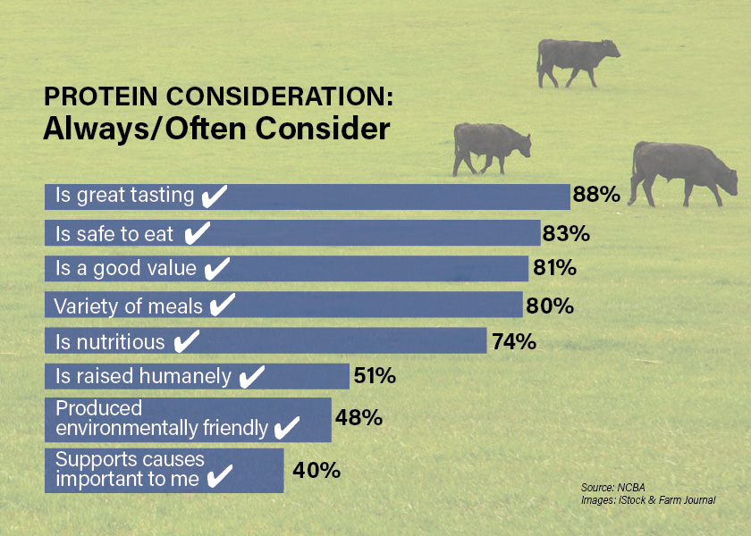 protein considerations