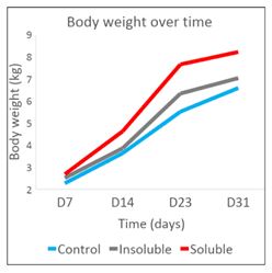 Body Weight over time