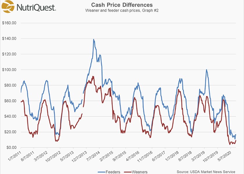 Cash Feeder Pig Prices Average 50, Down 0.77 Last Week Pork Business