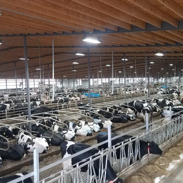 https://cdn.farmjournal.com/s3fs-public/inline-images/Neu-Hope%20Dairy1.jpg