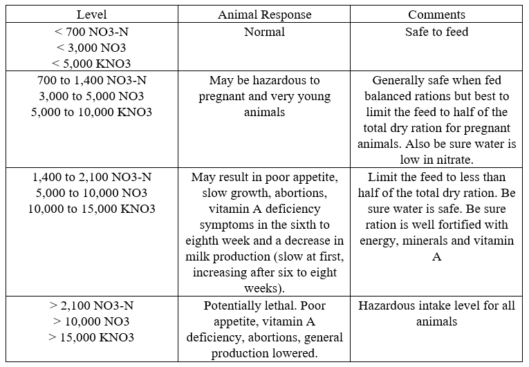 Nitrate Levels in Forage, Animal Response