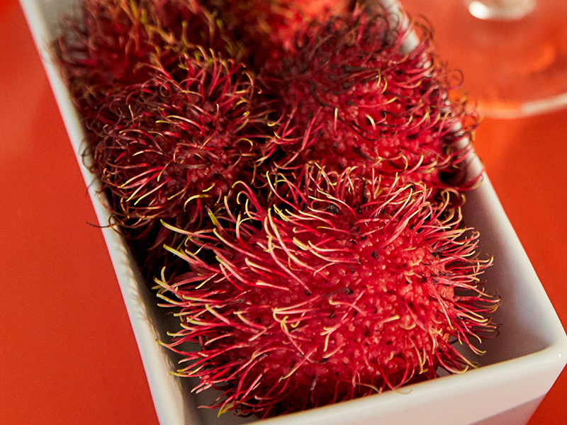 A white dish filled with rambutan, which are dark red, round and have stringy protrusions covering them.