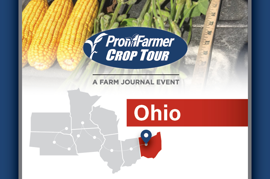 Ohio Farmers Eye Possibility of Record Corn Crop to Kick Off Pro Farmer ...