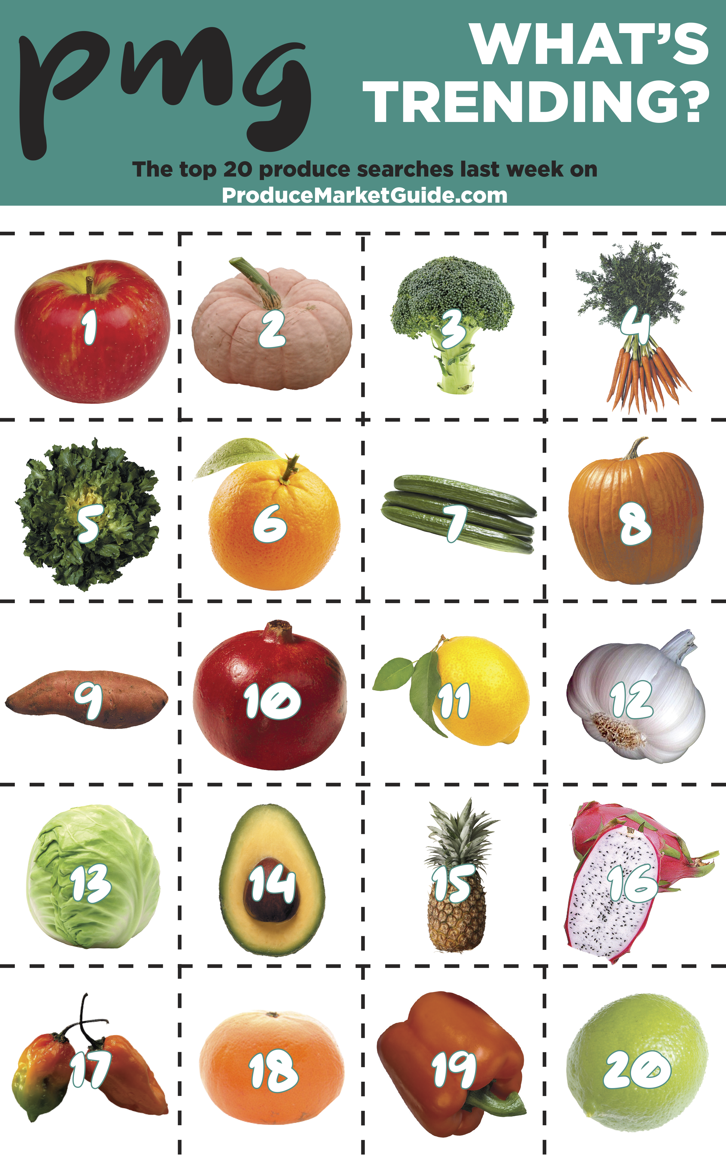 The top 20 fruit and vegetable searches on Produce Market Guide.