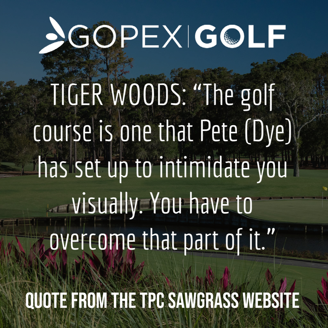 tiger quote