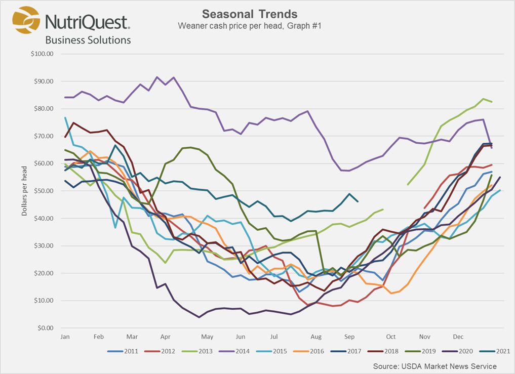 Cash Feeder Pig Prices Average 70.89, Up 3.33 Last Week Pork Business