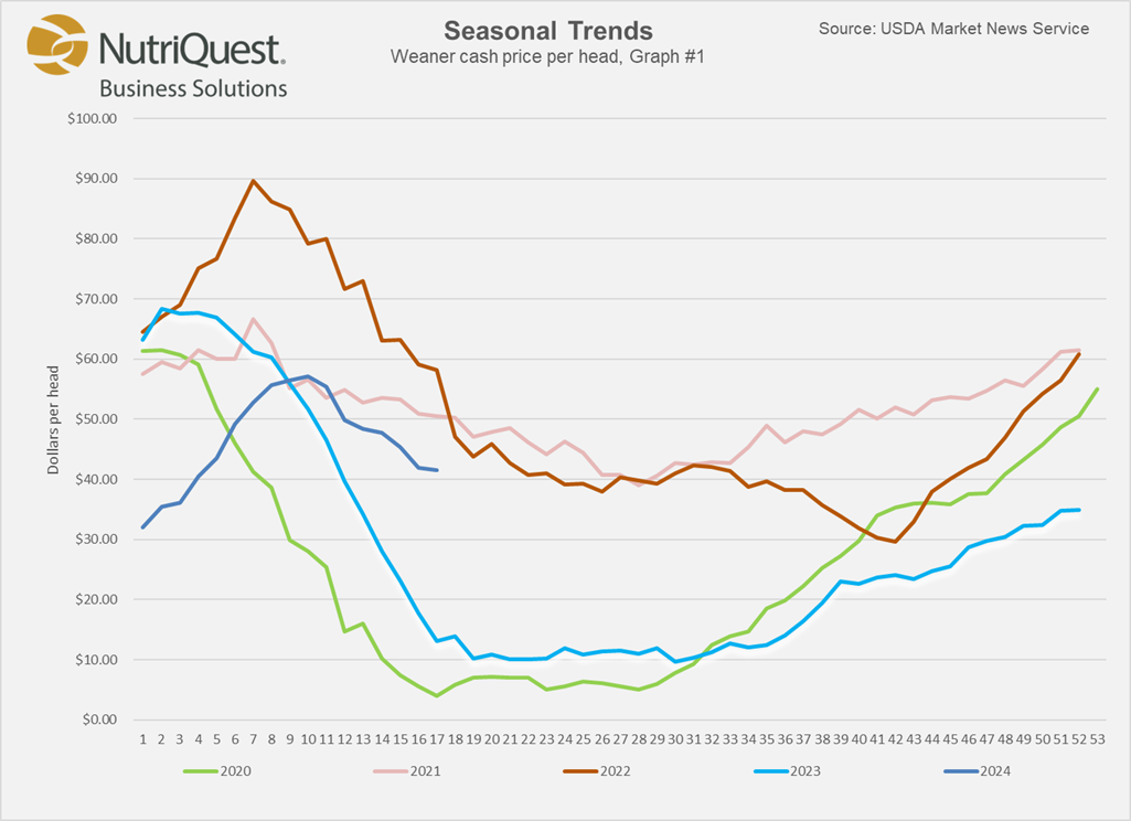 Cash Feeder Pig Prices Average $79.30, Down $15.88 Last Week | Pork ...