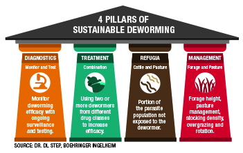 deworming-pillars