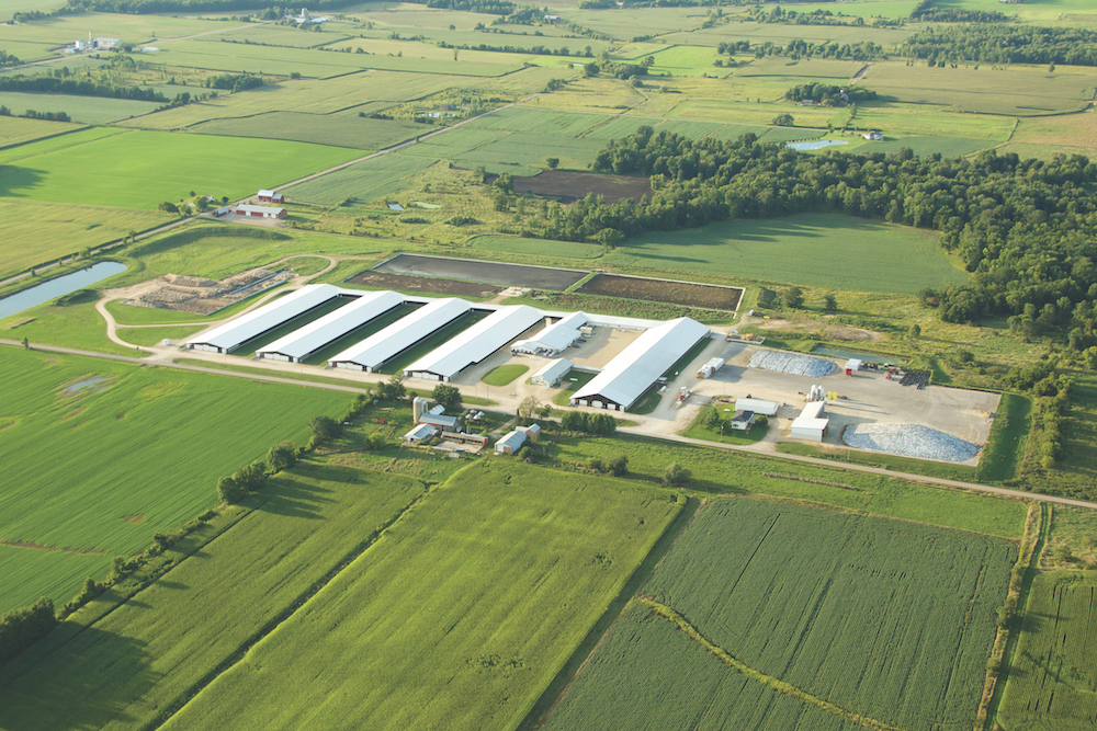 Five Families. Three Locations. One Sustainable Partnership Dairy Herd