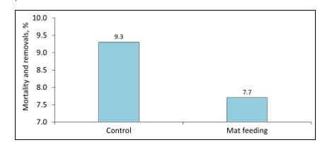 Effect of mat feeding on the mortality and removal rate of pigs post-weaning. 
