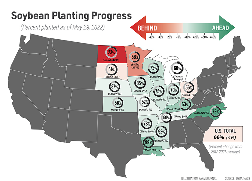 soybean planting progress