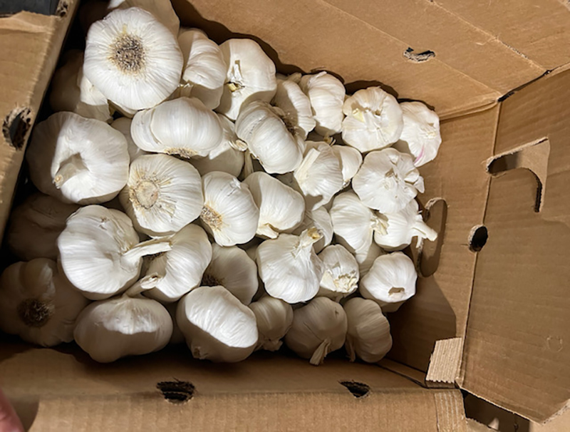 box of garlic