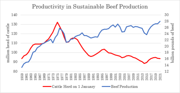 Productivity in Sustainable Beef