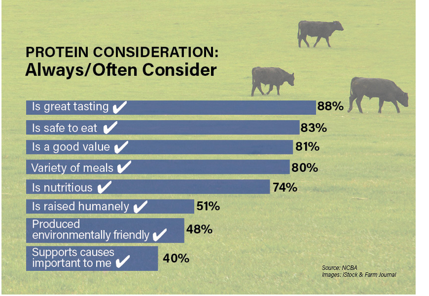 Protein Considerations