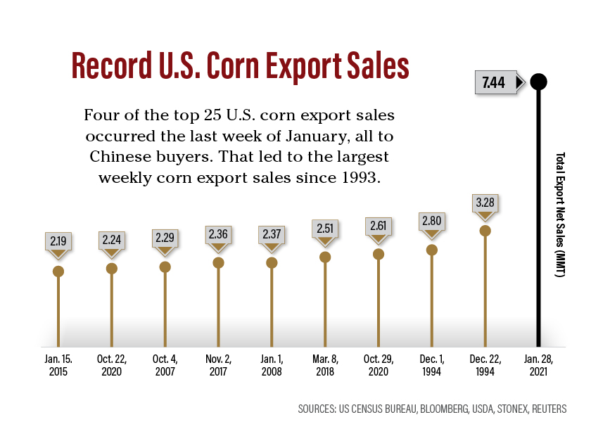 U.S. Corn Export Sales