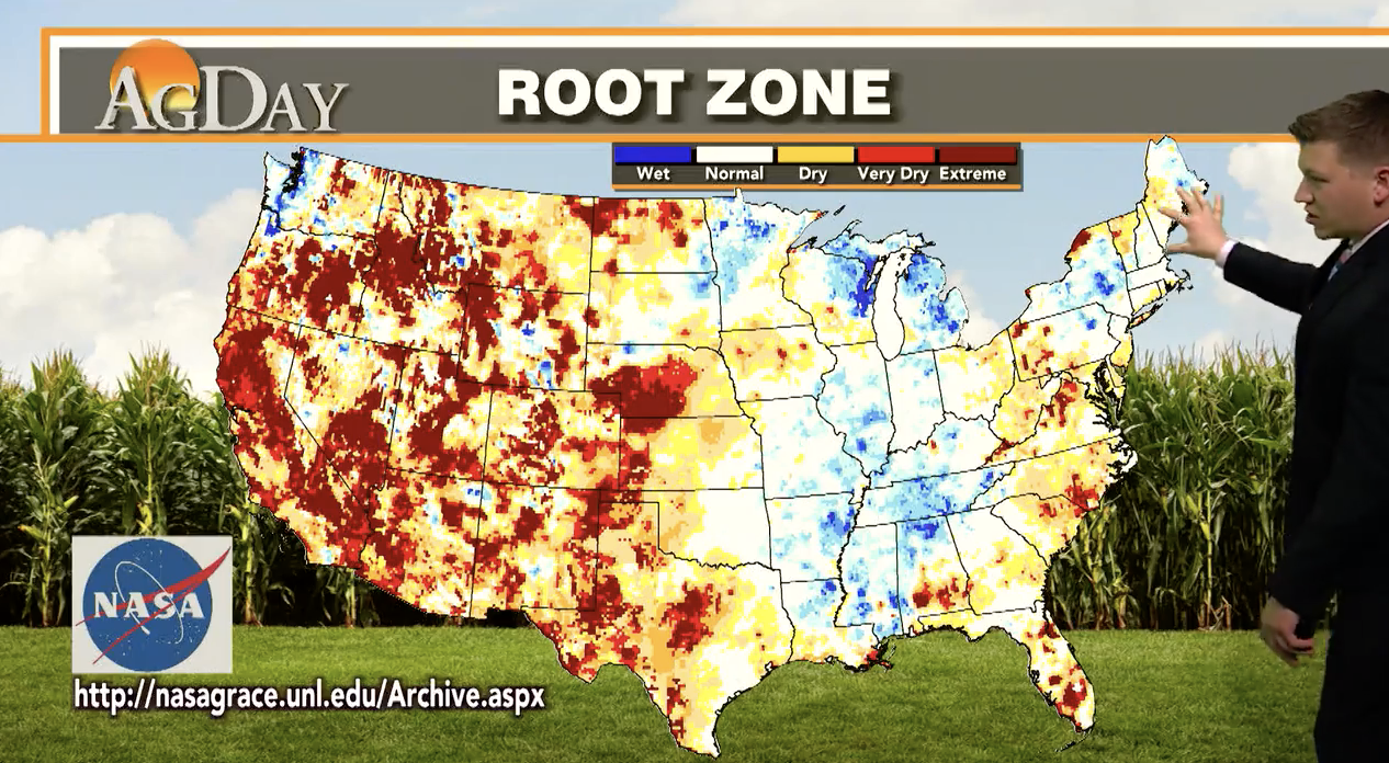 Root Zone