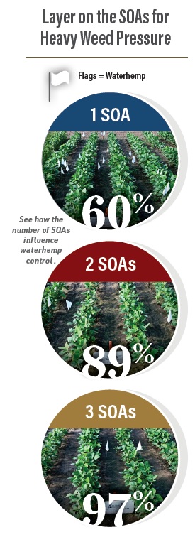 SOAs weed control