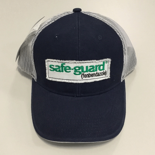 SafeGuard Hat