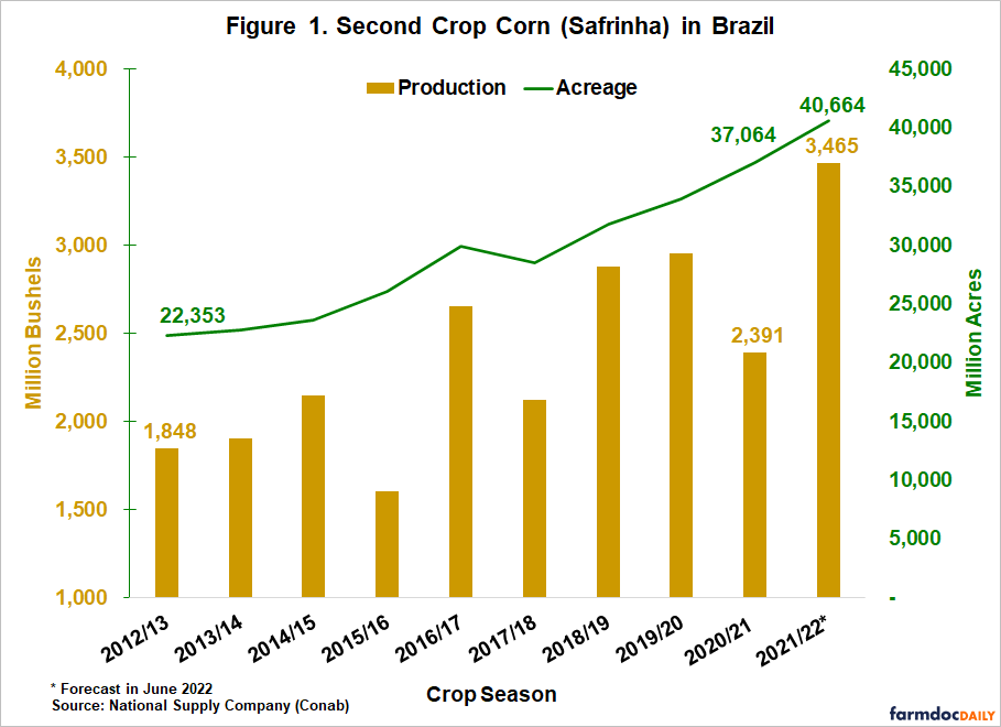 safrinha corn production