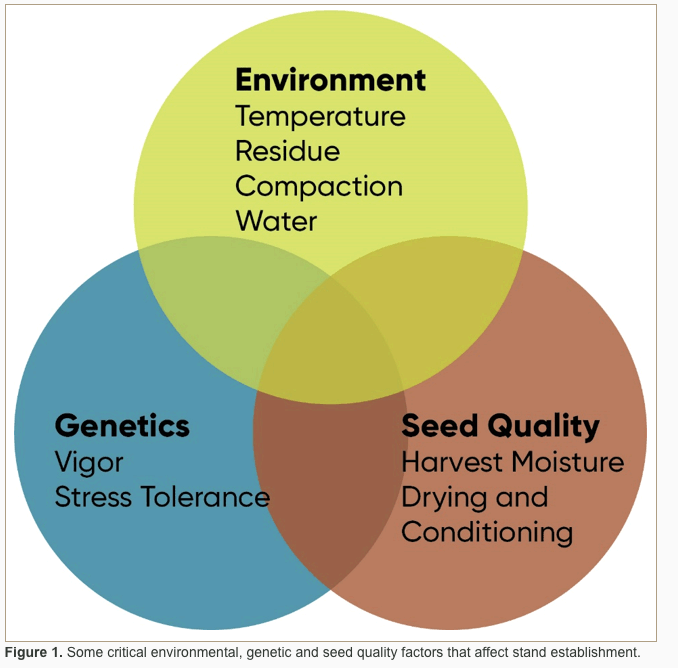 Seedling impacts
