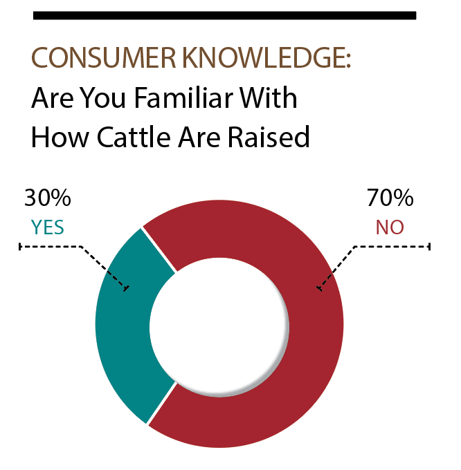 Consumer opinion survey 2