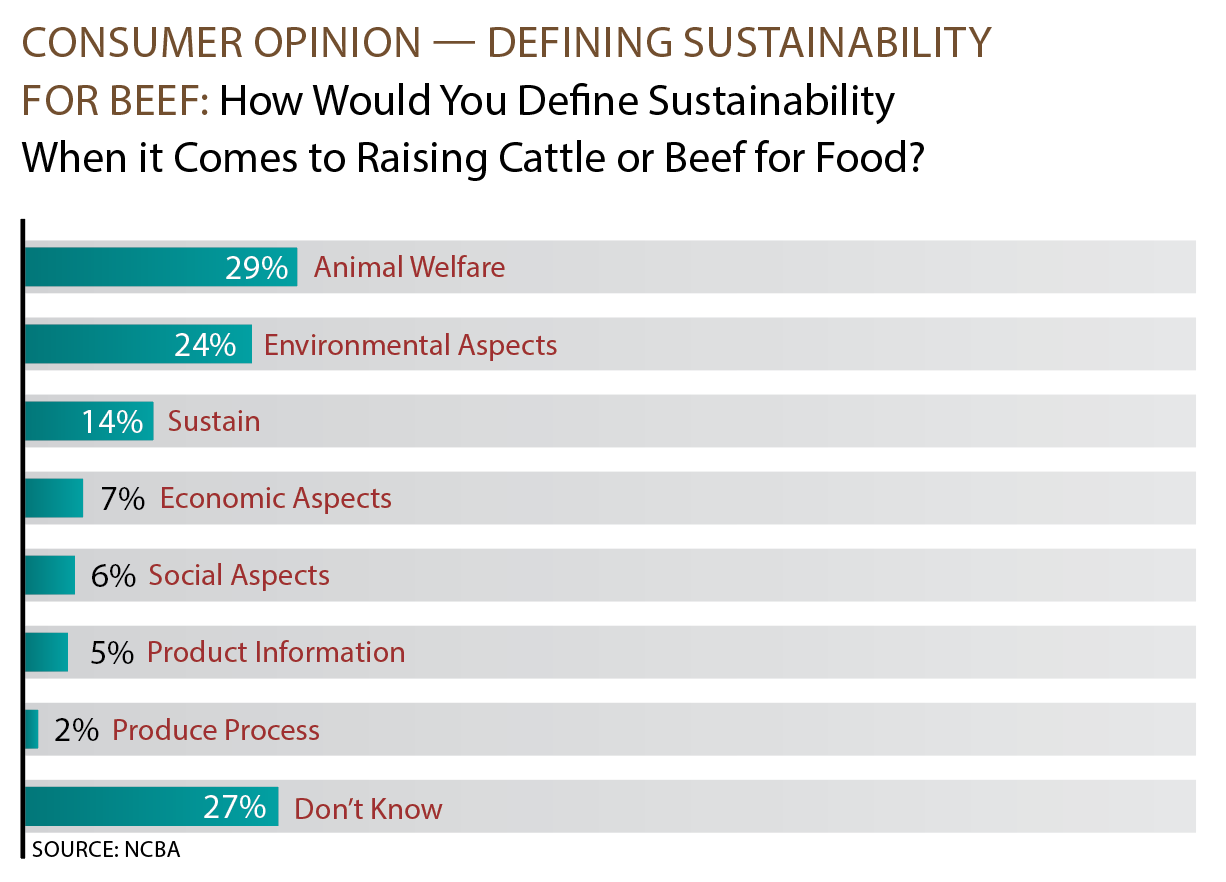 Consumer opinion survey 1