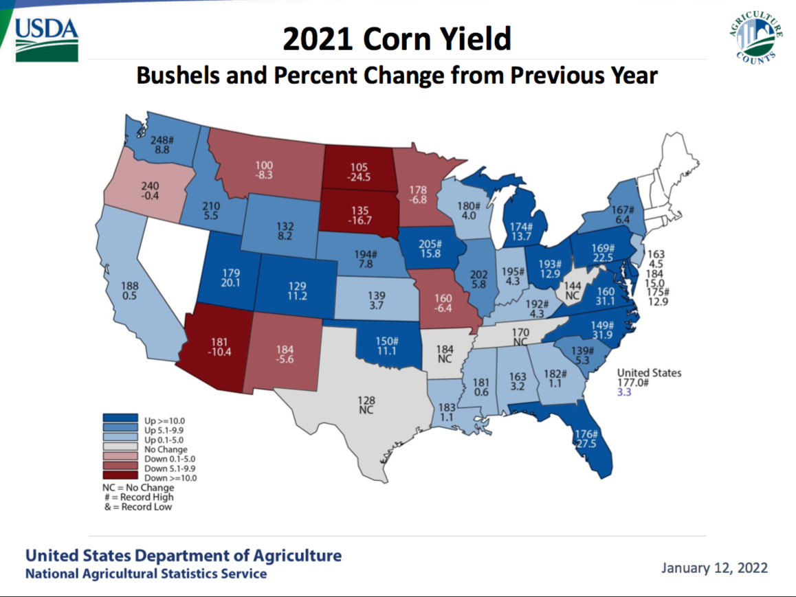 corn yield 
