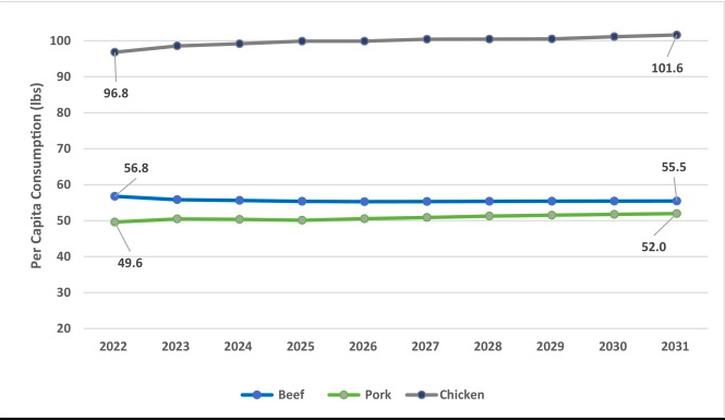 USDA Meat Forecast