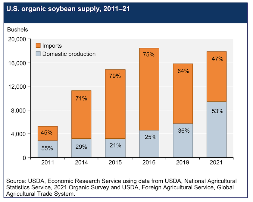 organic soybeans