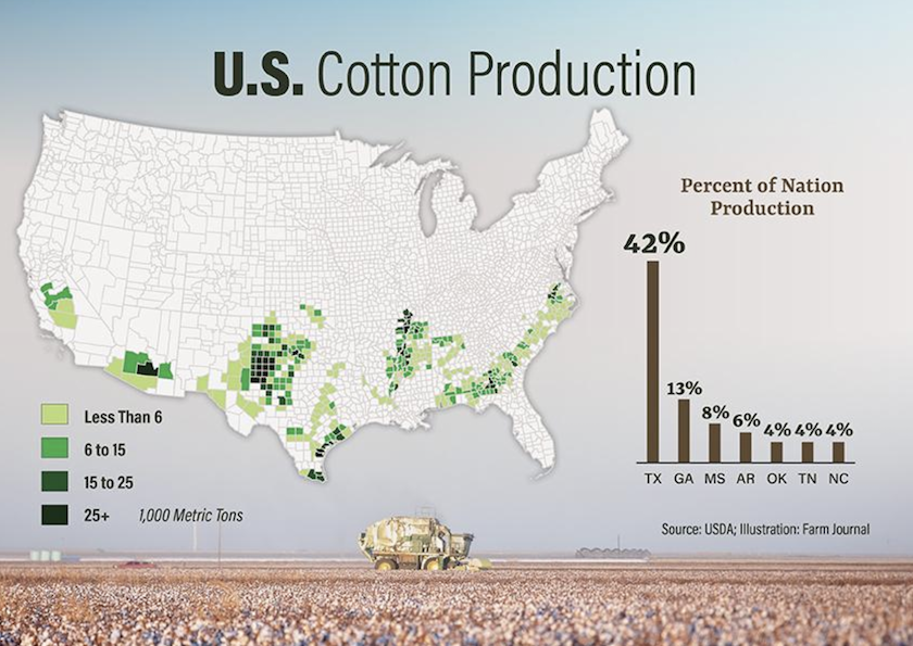 No Dryland Crop to Harvest: West Texas Cotton Farmers Open Up