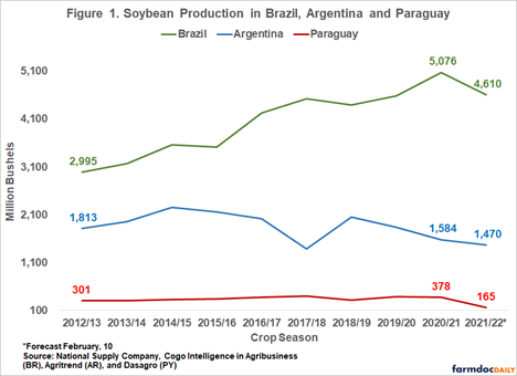 South American Soybean Production