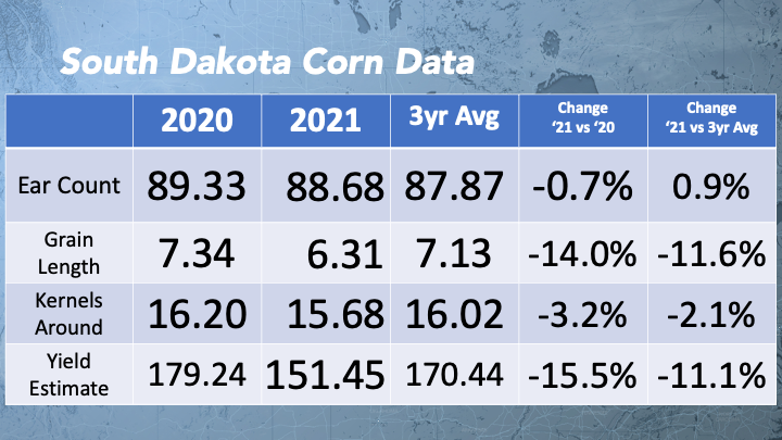 SD Corn 