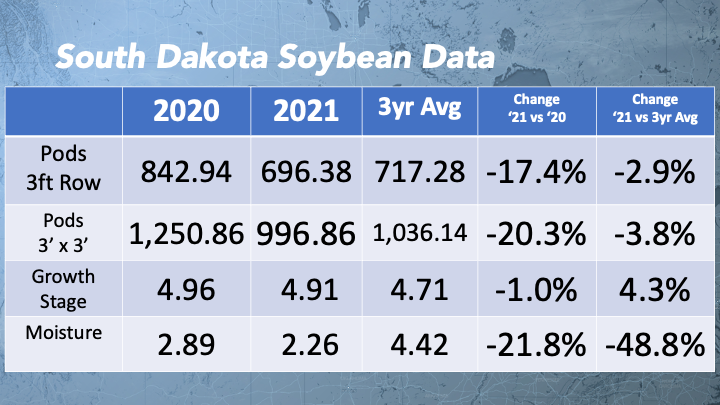 SD Soybeans 