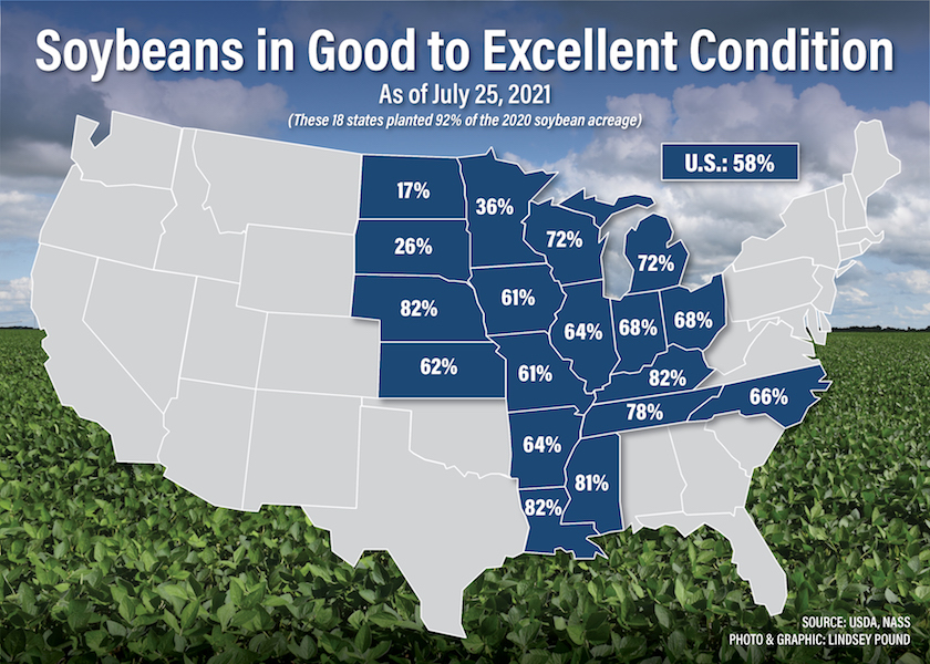 soybean conditions