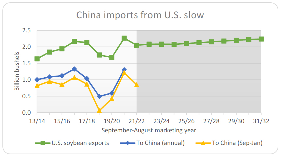 Soybean Exports to China