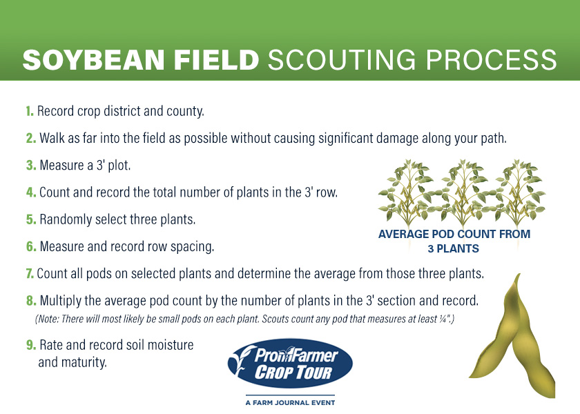 Soybean Scouting Process