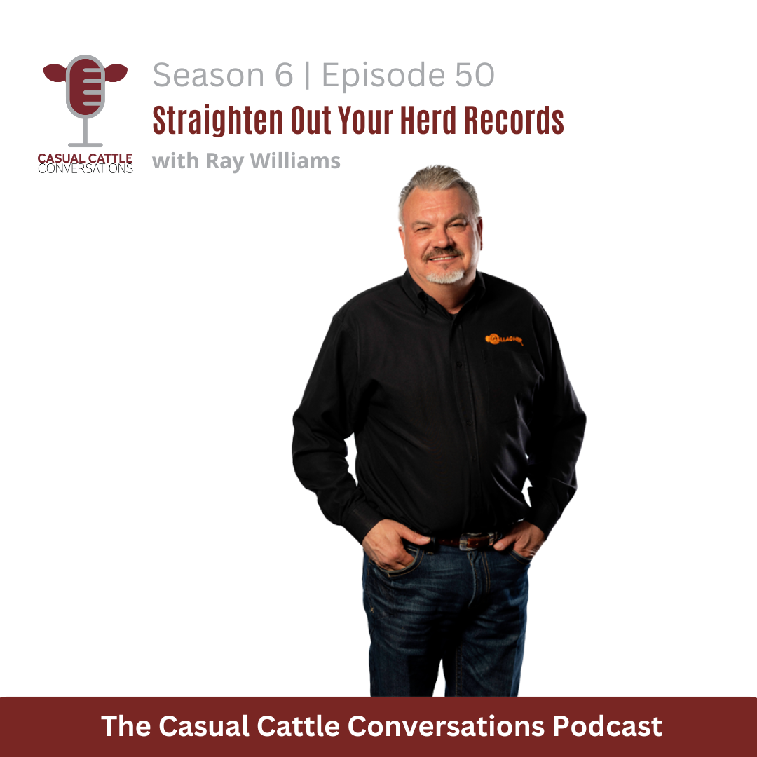 Straighten Out Your Records - Casual Cattle Conversations
