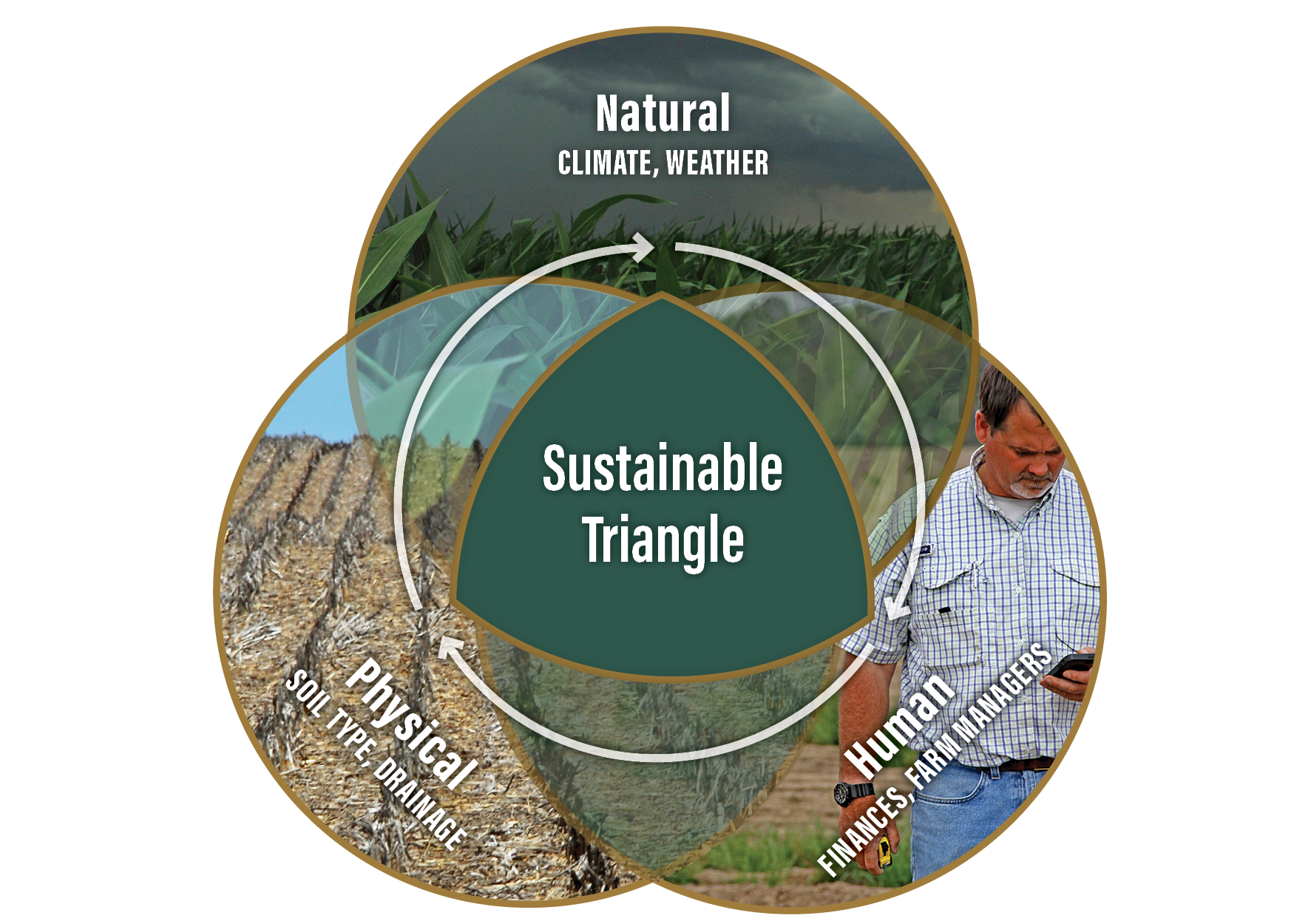Sustainable Triangle