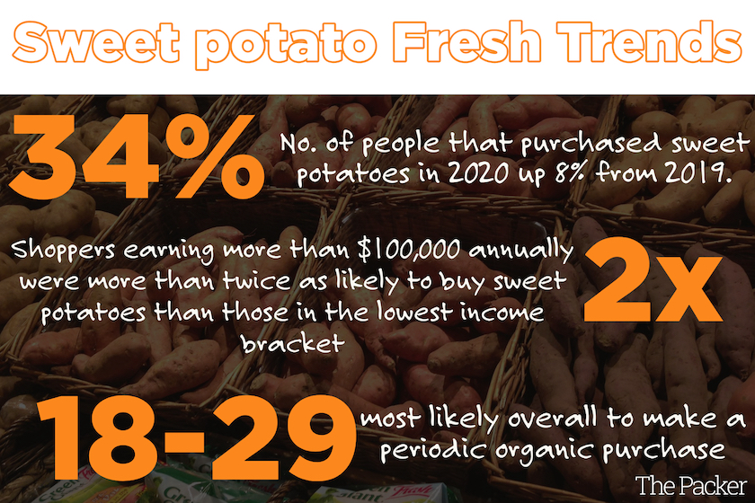 sweet tater trends graphic