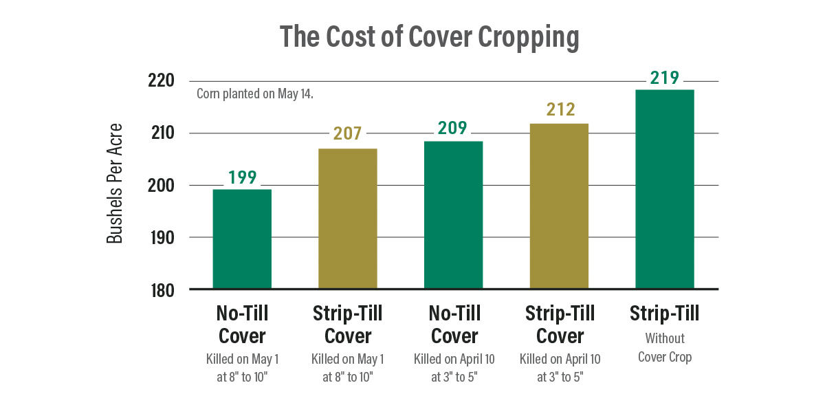The-Cost-of-Cover-Cropping