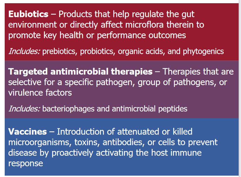 Three alternatives to antibiotics