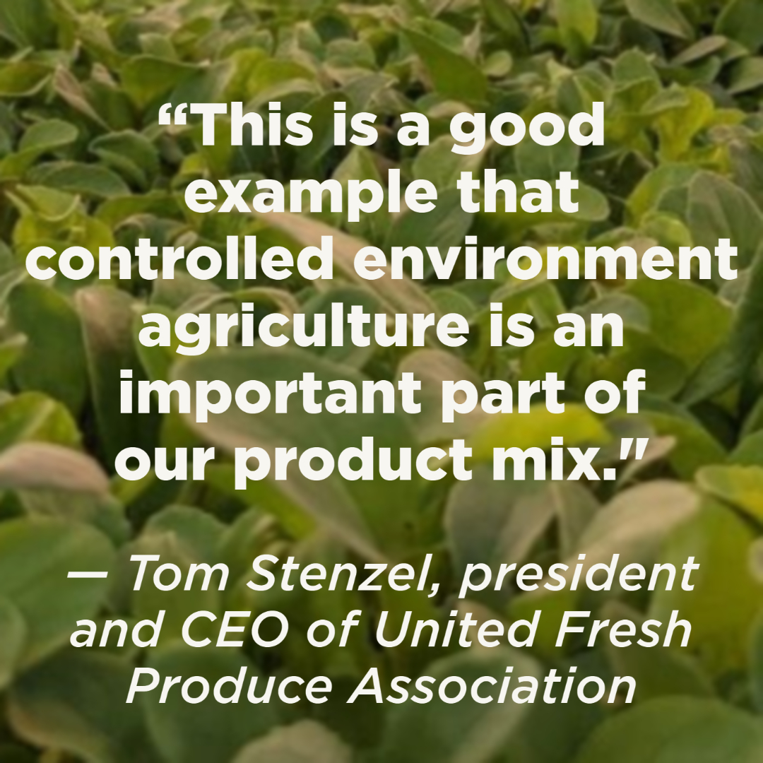 Tom Stenzel, president and CEO of United Fresh Produce Association