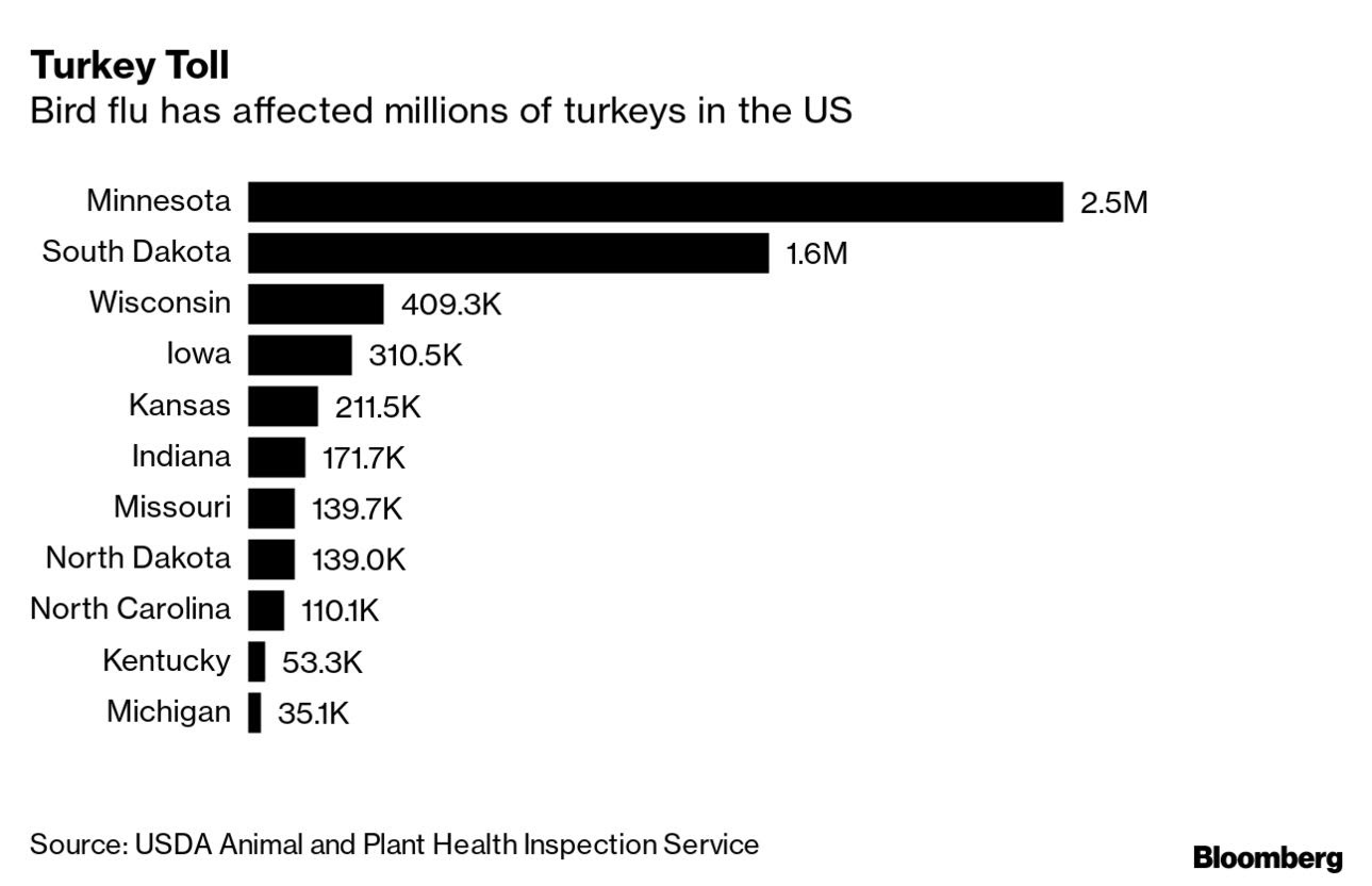 Turkey flu