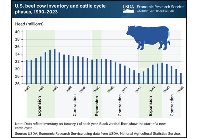 Beef Cow Inventory and the Cattle Cycle