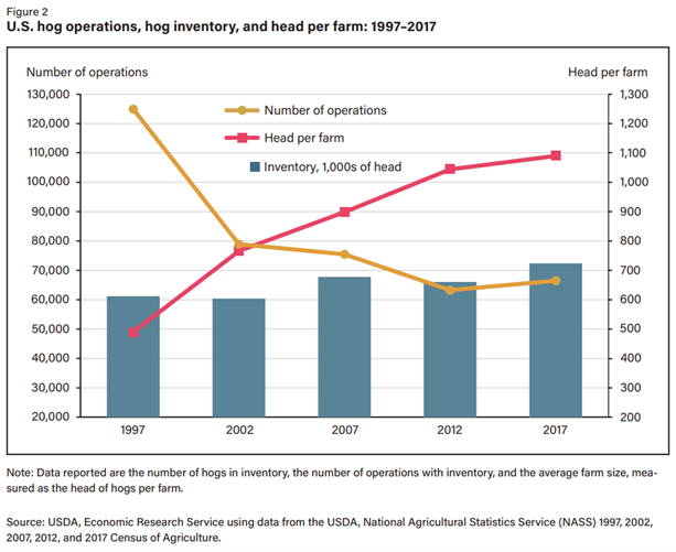 U.S. Hog Operations, Inventory, Head per farm