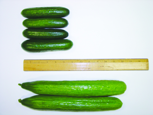 Cukes