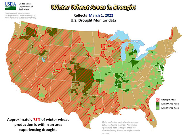 Winter Wheat map 03032022